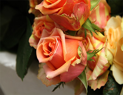 image07